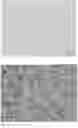 Fig. 02 - METHOD FOR CULTURING PRIMARY CELLS OF GASTRIC CANCER AND GALLBLADDER AND BILE DUCT CANCER, AND SUPPORTING REAGENTS