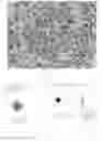 Fig. 08 - METHOD FOR CULTURING PRIMARY CELLS OF GASTRIC CANCER AND GALLBLADDER AND BILE DUCT CANCER, AND SUPPORTING REAGENTS