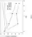Fig. 05 - METHODS AND COMPOSITIONS FOR PRODUCING ACTIVE VITAMIN K-DEPENDENT PROTEINS
