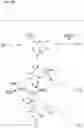 Fig. 03 - Multi-substrate metabolism for improving biomass and lipid production
