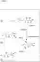Fig. 05 - Multi-substrate metabolism for improving biomass and lipid production