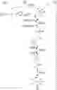 Fig. 07 - Multi-substrate metabolism for improving biomass and lipid production