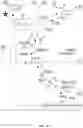 Fig. 12 - Multi-substrate metabolism for improving biomass and lipid production
