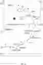 Fig. 13 - Multi-substrate metabolism for improving biomass and lipid production
