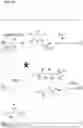 Fig. 17 - Multi-substrate metabolism for improving biomass and lipid production
