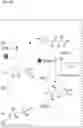 Fig. 18 - Multi-substrate metabolism for improving biomass and lipid production