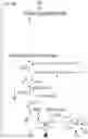 Fig. 21 - Multi-substrate metabolism for improving biomass and lipid production