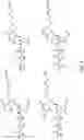 Fig. 02 - POLYMERASE ENZYME FROM PHAGE T4