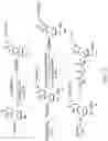 Fig. 04 - POLYMERASE ENZYME FROM PHAGE T4