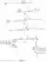 Fig. 05 - POLYMERASE ENZYME FROM PHAGE T4
