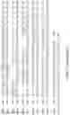 Fig. 09 - POLYMERASE ENZYME FROM PHAGE T4