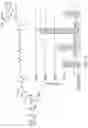 Fig. 12 - POLYMERASE ENZYME FROM PHAGE T4
