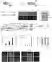 Fig. 01 - Precise Gene Activation Via Novel Designed Proteins Mediating Epigenetic Remodeling