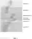 Fig. 04 - TYPE VII CRISPR PROTEINS AND SYSTEMS