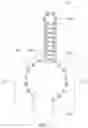 Fig. 03 - CRISPR-associated (Cas) protein