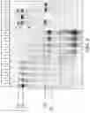 Fig. 06 - CRISPR-associated (Cas) protein