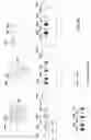 Fig. 16 - Cascade/dCas3 complementation assays for in vivo detection of nucleic acid-guided nuclease edited cells