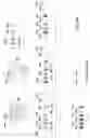 Fig. 17 - Cascade/dCas3 complementation assays for in vivo detection of nucleic acid-guided nuclease edited cells
