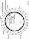 Fig. 25 - Cascade/dCas3 complementation assays for in vivo detection of nucleic acid-guided nuclease edited cells
