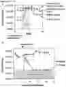 Fig. 04 - Compositions and Methods for Modulating Growth of a Genetically Modified Gut Bacterial Cell