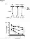 Fig. 09 - Compositions and Methods for Modulating Growth of a Genetically Modified Gut Bacterial Cell