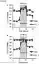 Fig. 11 - Compositions and Methods for Modulating Growth of a Genetically Modified Gut Bacterial Cell
