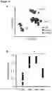 Fig. 17 - Compositions and Methods for Modulating Growth of a Genetically Modified Gut Bacterial Cell