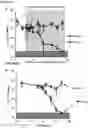Fig. 20 - Compositions and Methods for Modulating Growth of a Genetically Modified Gut Bacterial Cell