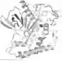 Fig. 01 - NOVEL BOTULINUM NEUROTOXIN AND ITS DERIVATIVES