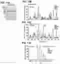 Fig. 17 - NOVEL BOTULINUM NEUROTOXIN AND ITS DERIVATIVES