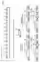 Fig. 03 - Method for constructing chimeric plasmid library