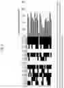 Fig. 08 - Method for constructing chimeric plasmid library