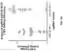 Fig. 13 - DEEP MUTATIONAL EVOLUTION OF BIOMOLECULES