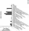 Fig. 16 - DEEP MUTATIONAL EVOLUTION OF BIOMOLECULES