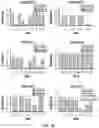 Fig. 63 - DEEP MUTATIONAL EVOLUTION OF BIOMOLECULES