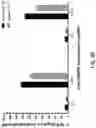 Fig. 71 - DEEP MUTATIONAL EVOLUTION OF BIOMOLECULES