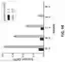 Fig. 80 - DEEP MUTATIONAL EVOLUTION OF BIOMOLECULES