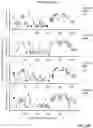 Fig. 82 - DEEP MUTATIONAL EVOLUTION OF BIOMOLECULES