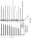 Fig. 85 - DEEP MUTATIONAL EVOLUTION OF BIOMOLECULES