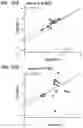 Fig. 89 - DEEP MUTATIONAL EVOLUTION OF BIOMOLECULES