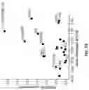 Fig. 91 - DEEP MUTATIONAL EVOLUTION OF BIOMOLECULES