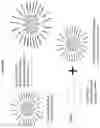 Fig. 05 - ISOLATION AND IMMOBILIZATION OF NUCLEIC ACIDS AND USES THEREOF