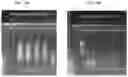 Fig. 18 - ISOLATION AND IMMOBILIZATION OF NUCLEIC ACIDS AND USES THEREOF