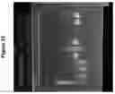 Fig. 29 - ISOLATION AND IMMOBILIZATION OF NUCLEIC ACIDS AND USES THEREOF