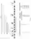 Fig. 02 - Compositions and Methods for Modifying Dystrophin Genes