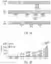 Fig. 02 - HIGHLY MULTIPLEXED BASE EDITING