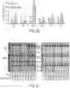 Fig. 05 - HIGHLY MULTIPLEXED BASE EDITING