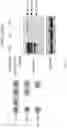 Fig. 21 - CRISPR/CAS-BASED BASE EDITING COMPOSITION FOR RESTORING DYSTROPHIN FUNCTION