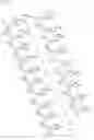 Fig. 14 - Antisense Oligonucleotides Targeting ATXN3