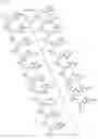 Fig. 16 - Antisense Oligonucleotides Targeting ATXN3